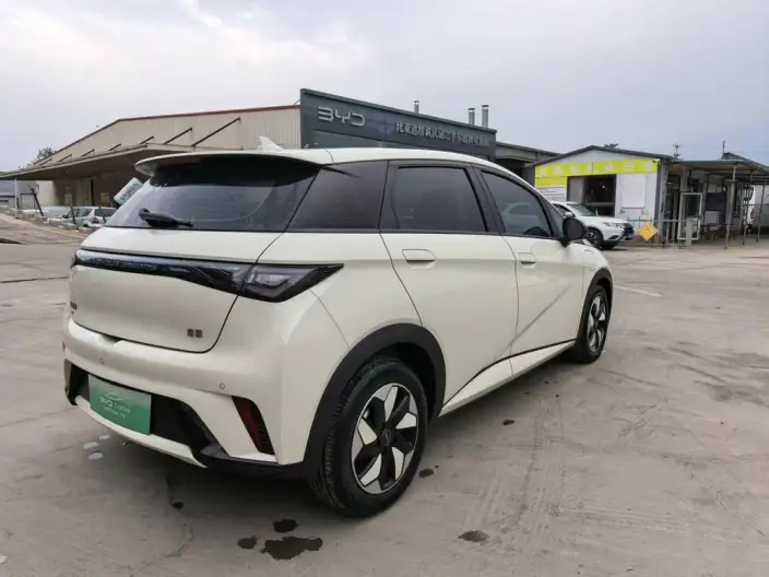 BYD Dolphin 2024 Model Honor Edition 420km Free Edition – фото 6