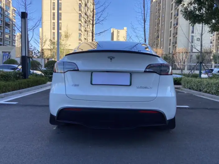 Model Y 2022 Model Performance High performance All-wheel drive version – фото 6