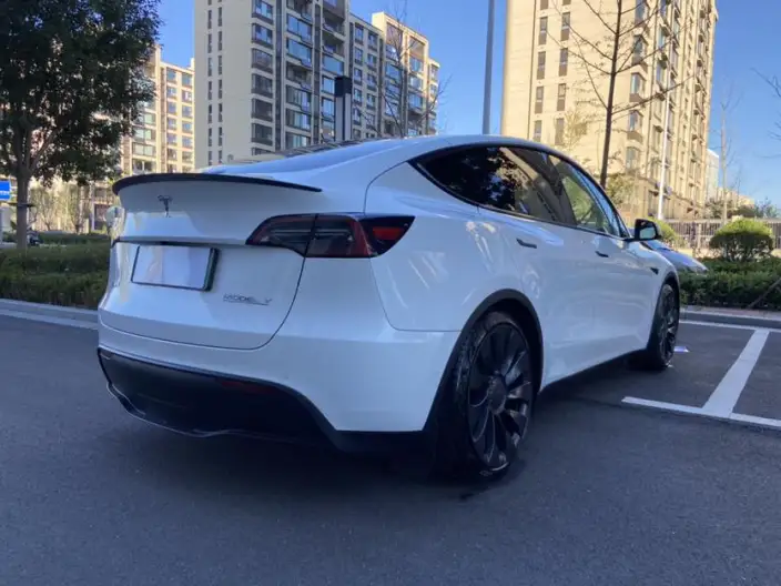 Model Y 2022 Model Performance High performance All-wheel drive version – фото 7