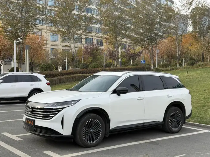 Nissan Pathfind 2024 Model 380VC-TURBO 4WD Zhizun Edition VI seat