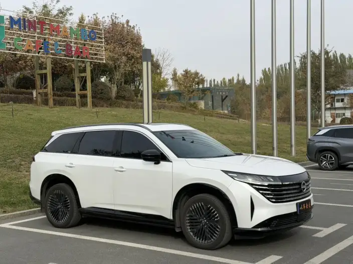 Nissan Pathfind 2024 Model 380VC-TURBO 4WD Zhizun Edition VI seat