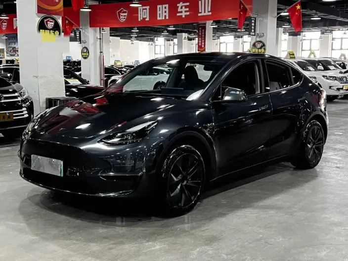 Model Y 2024 Model Rear-wheel drive version – фото 1