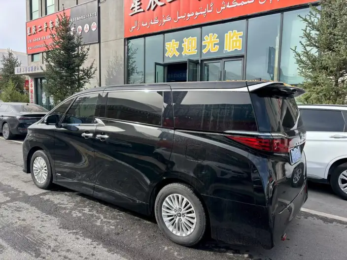 Elfa 2025 Model 2.5L Automatic 4WD 7 seat Parallel Imported – фото 4