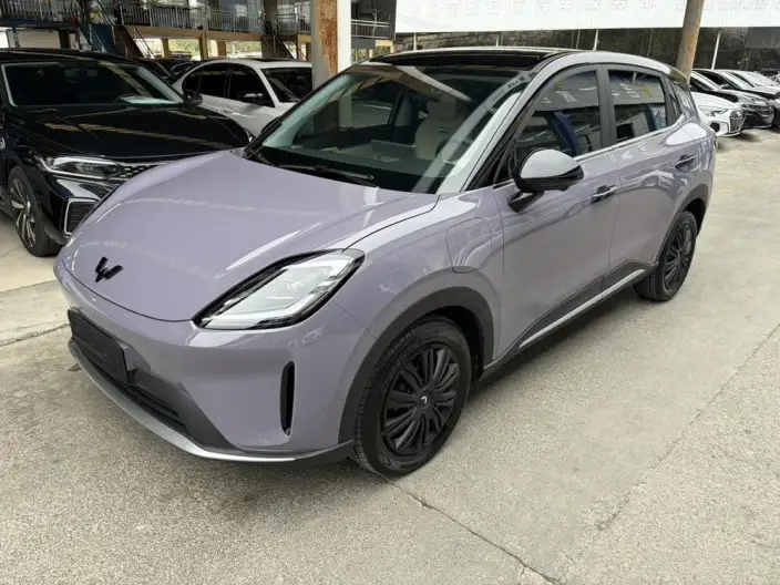 Wuling BingoS 2025 Model 325km Exclusive Model