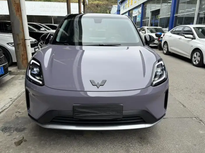 Wuling BingoS 2025 Model 325km Exclusive Model