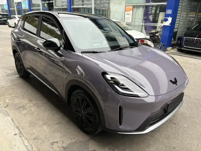 Wuling BingoS 2025 Model 325km Exclusive Model