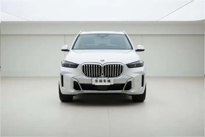 BMW X5 2023 Model xDrive30Li Exclusive Model M Sports Set – фото 2