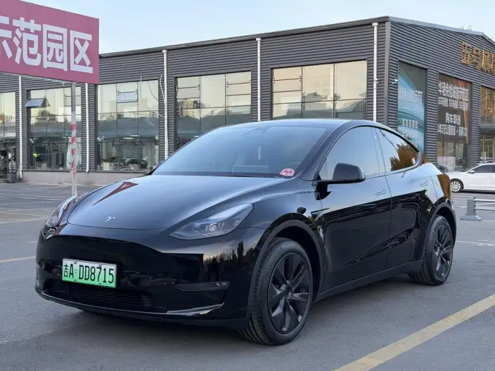 Model Y 2023 Model Long Battery Life Pro All-wheel drive version – фото 1