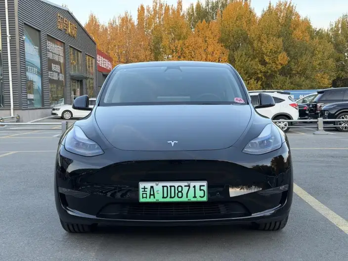 Model Y 2023 Model Long Battery Life Pro All-wheel drive version – фото 2