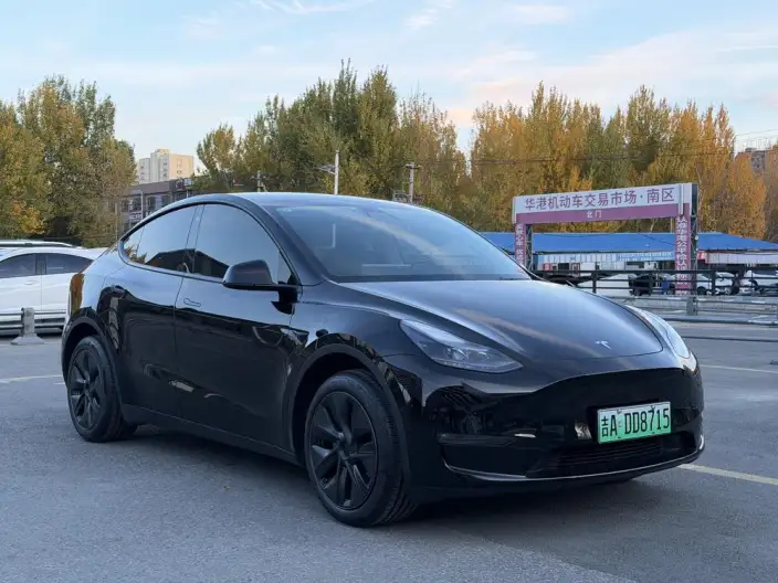Model Y 2023 Model Long Battery Life Pro All-wheel drive version – фото 3