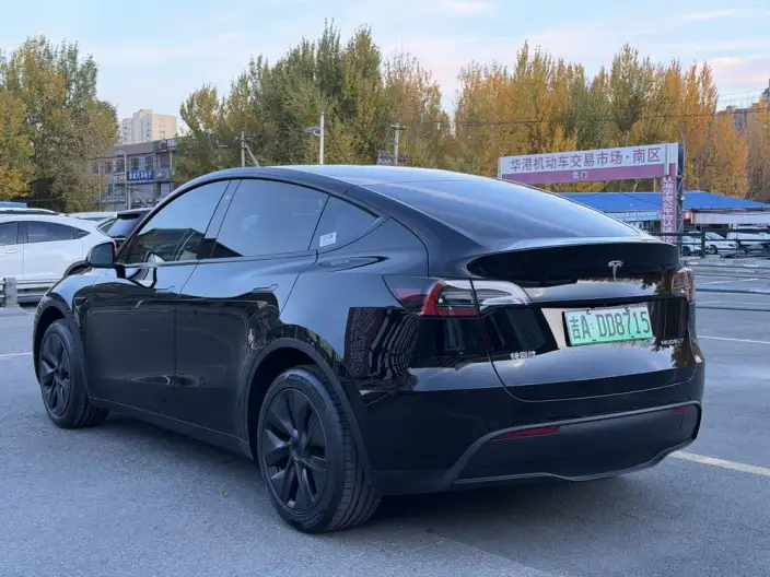 Model Y 2023 Model Long Battery Life Pro All-wheel drive version – фото 4