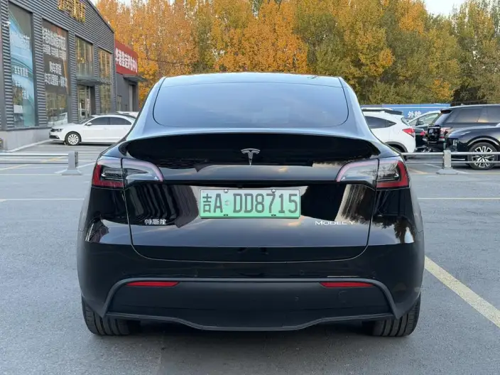 Model Y 2023 Model Long Battery Life Pro All-wheel drive version – фото 5