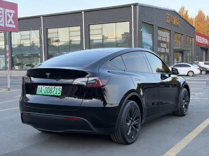 Model Y 2023 Model Long Battery Life Pro All-wheel drive version – фото 6