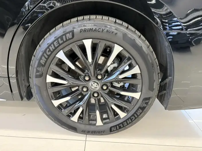 Elfa 2025 Model 2.5L Intelligent Hybrid 4WD Noble Gold Edition – фото 8