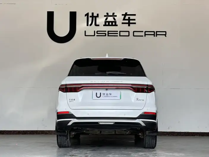 BYD Song Pro DM 2022 Model DM-i 51km Noble Model – фото 5