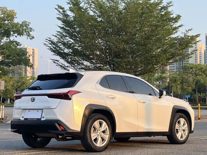 Lexus UX 2022 Model 260h Tan · Cool Edition – фото 6
