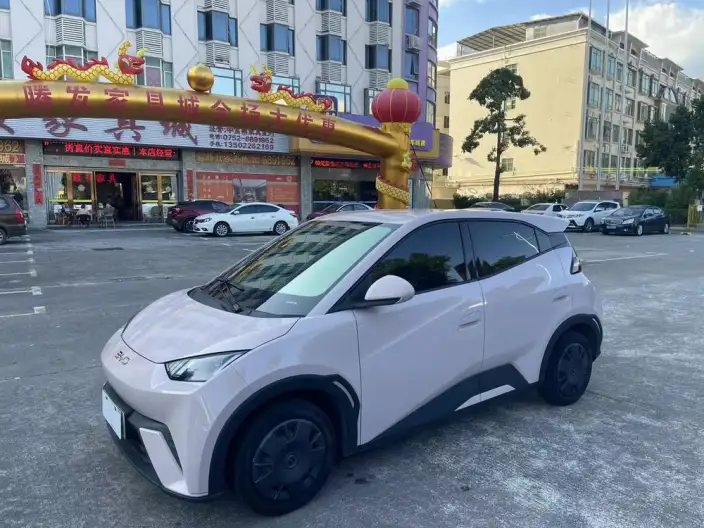 BYD Seagull 2024 Model Honor Edition 305KM Vitality Edition – фото 1
