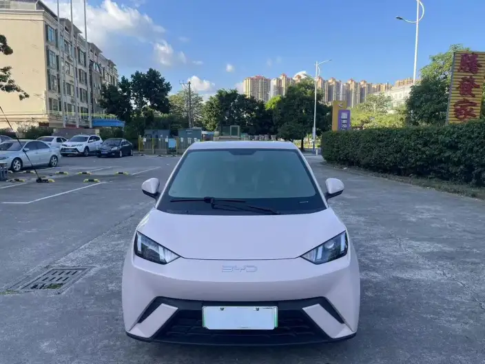 BYD Seagull 2024 Model Honor Edition 305KM Vitality Edition – фото 2