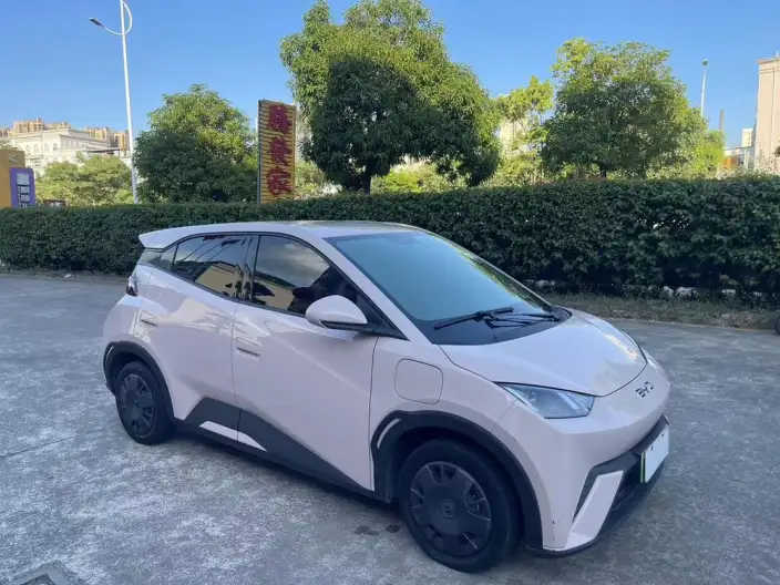BYD Seagull 2024 Model Honor Edition 305KM Vitality Edition – фото 3