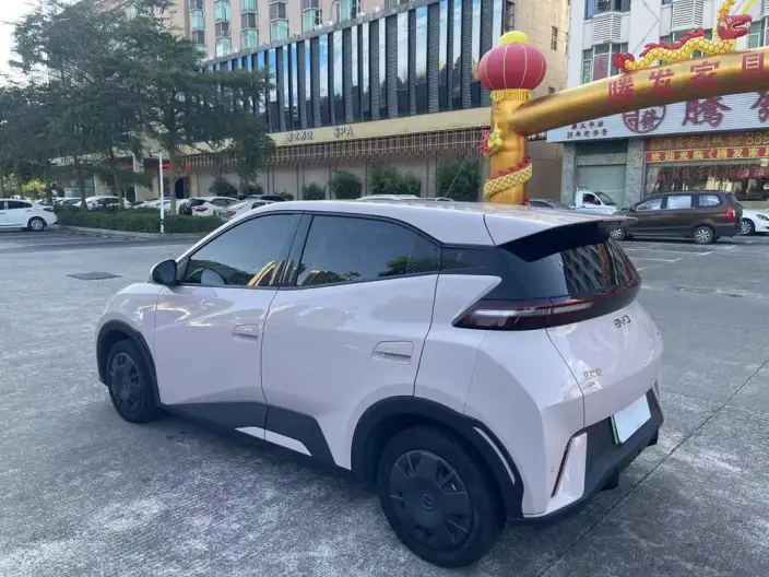 BYD Seagull 2024 Model Honor Edition 305KM Vitality Edition – фото 4