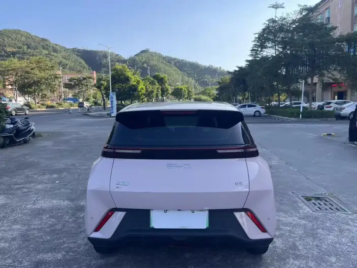 BYD Seagull 2024 Model Honor Edition 305KM Vitality Edition – фото 5