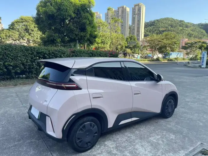 BYD Seagull 2024 Model Honor Edition 305KM Vitality Edition – фото 6