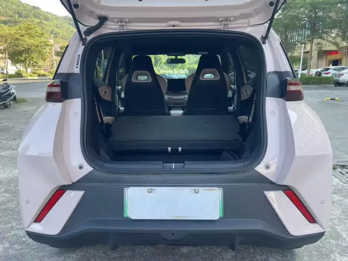 BYD Seagull 2024 Model Honor Edition 305KM Vitality Edition – фото 9