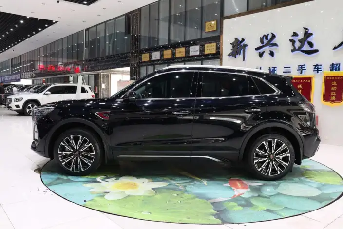 Hongqi HS5 2023 Model 2.0T 4WD Flag Xiang Pro Edition – фото 3