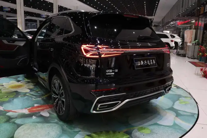 Hongqi HS5 2023 Model 2.0T 4WD Flag Xiang Pro Edition – фото 4