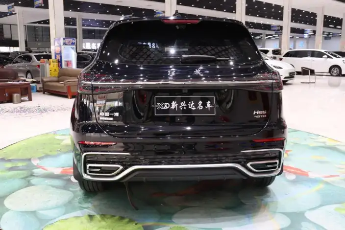 Hongqi HS5 2023 Model 2.0T 4WD Flag Xiang Pro Edition – фото 5