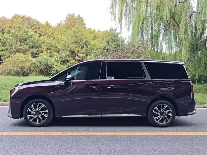 Maxus G90 2023 Model 2.0T Xingyun VII seat Edition – фото 3