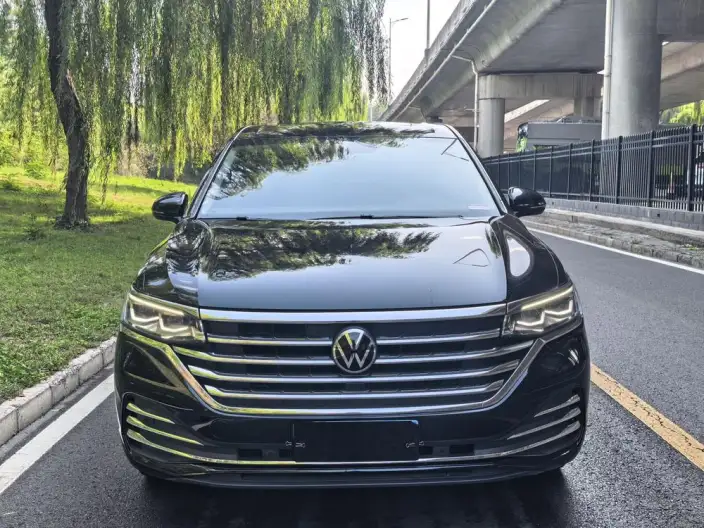Viloran 2024 Model 380TSI Premium Edition – фото 2