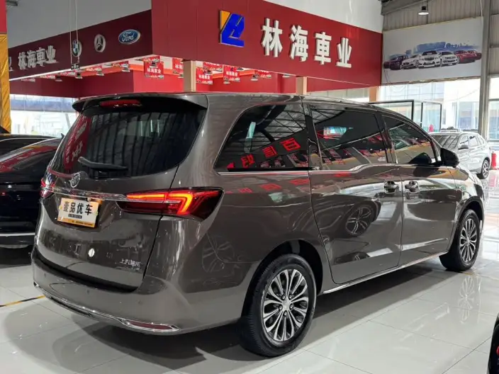Buick GL8 2023 Model Business class 2.0T Comfort Model – фото 6