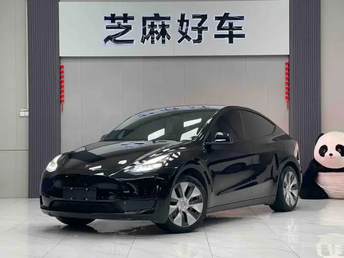 Model Y 2022 Model Facelift Rear-wheel drive version – фото 1