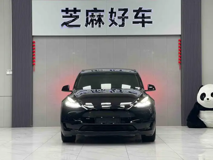 Model Y 2022 Model Facelift Rear-wheel drive version – фото 2
