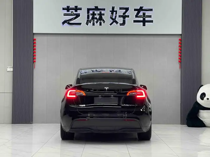 Model Y 2022 Model Facelift Rear-wheel drive version – фото 5