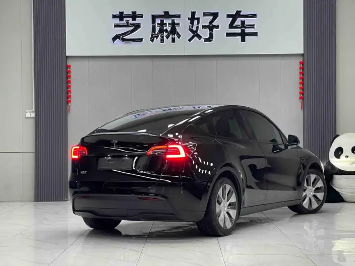 Model Y 2022 Model Facelift Rear-wheel drive version – фото 6