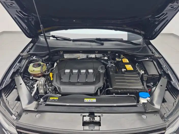 Volkswagen Magotan 2020 Model 330TSI DSG Luxury Model – фото 10