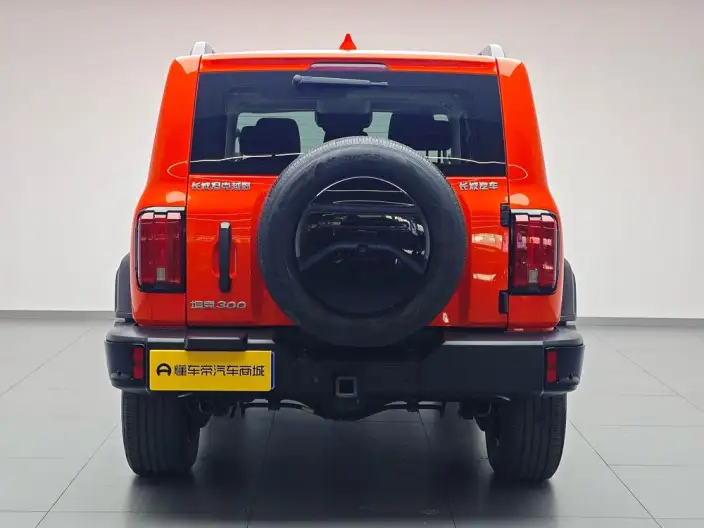 Tank 300 2024 Model 2.0T Challenger – фото 6