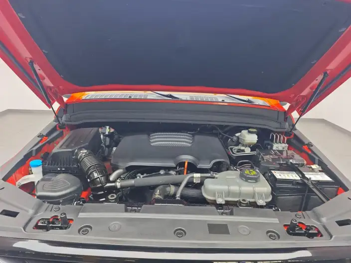 Tank 300 2024 Model 2.0T Challenger – фото 10
