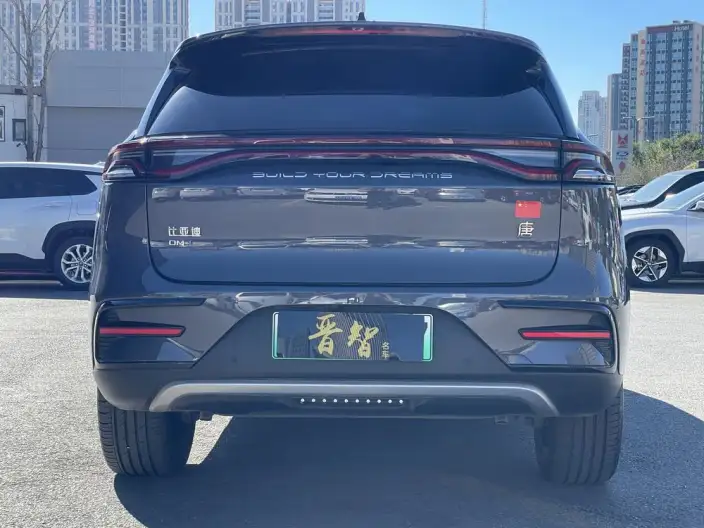 BYD Tang DM 2023 Model DM-i Champion Edition 112KM Exclusive Model – фото 5