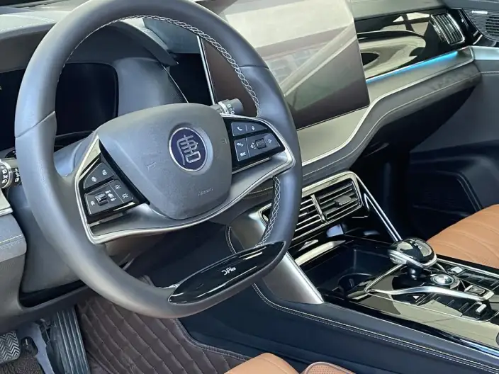 BYD Tang DM 2023 Model DM-i Champion Edition 112KM Exclusive Model – фото 9
