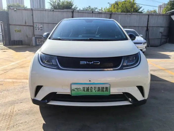 BYD Dolphin 2023 Model Fashion Edition – фото 2