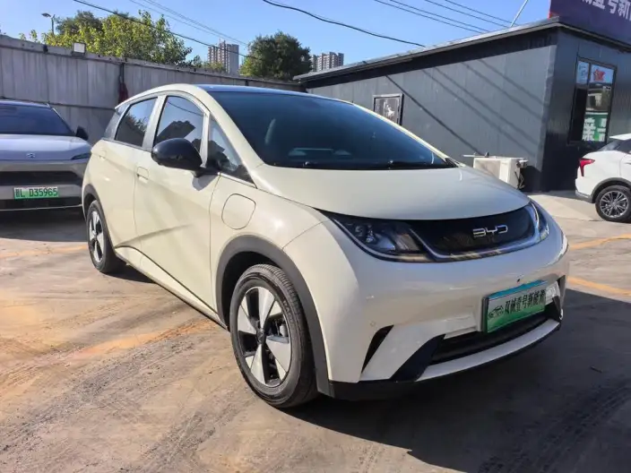 BYD Dolphin 2023 Model Fashion Edition – фото 3