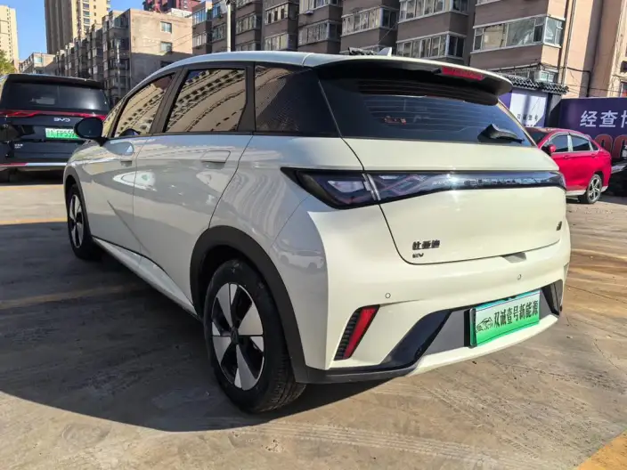 BYD Dolphin 2023 Model Fashion Edition – фото 4