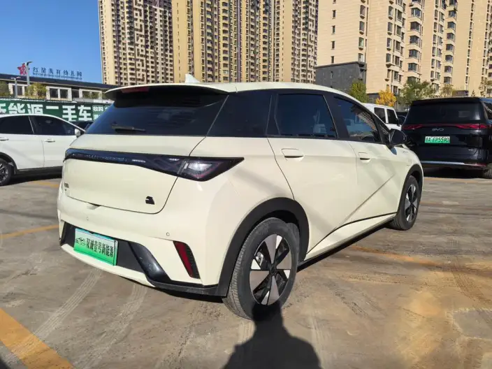 BYD Dolphin 2023 Model Fashion Edition – фото 6