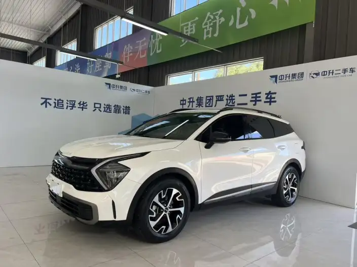 Lion Platinum 2023 Model 2.0T 2WD Premium Edition