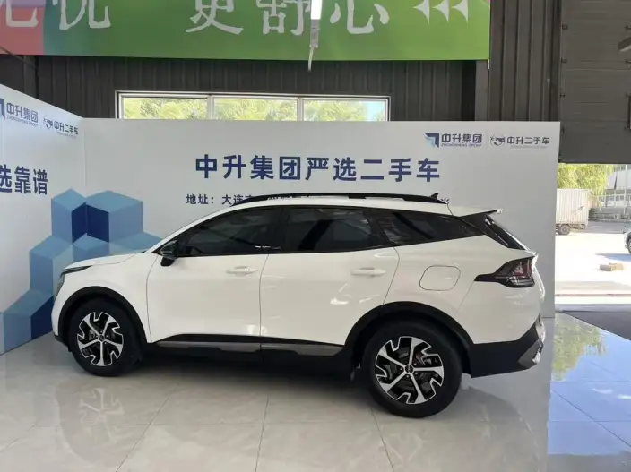 Lion Platinum 2023 Model 2.0T 2WD Premium Edition