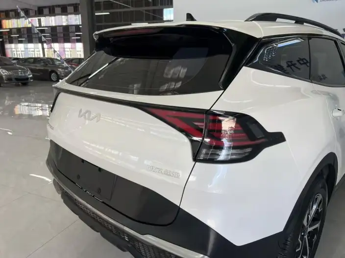 Lion Platinum 2023 Model 2.0T 2WD Premium Edition – фото 5