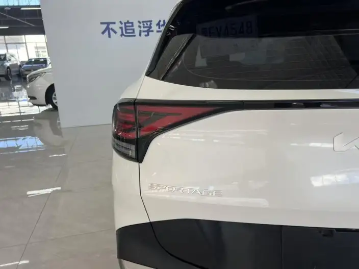 Lion Platinum 2023 Model 2.0T 2WD Premium Edition – фото 6